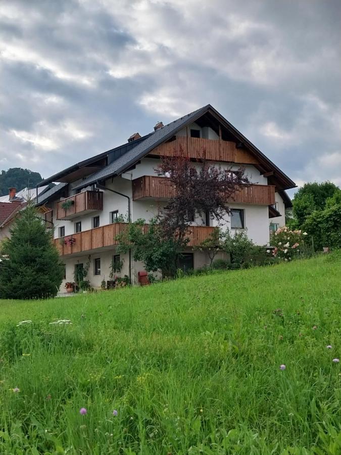 Apartments At Klemen ゴレンスカ地方 エクステリア 写真